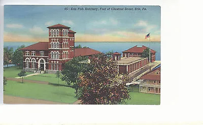 Erie Fish Hatchery  Foot Of  Chestnut Street   Erie PA   Linen Postcard  22614 • $3.75