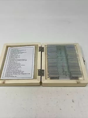 AmScope 25 Prepared Microscope Slides Glass With Wooden Box Zoology Botany • $10