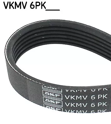 New V-Ribbed Belt For ROVER RENAULT MG HONDA:600 I400 II19 Mk IIACCORD VI • £16.89