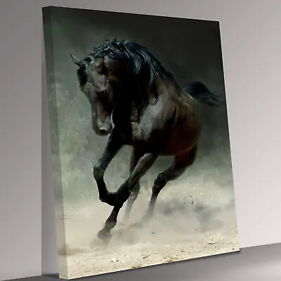 BLACK HORSE STUNNING Canvas Wall Art Picture Print • £39.99