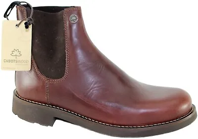 CABOTSWOOD Mens KEMPTON Polished Leather JODHPUR BOOTS Brown DEALER BOOT | 7 • £44.99