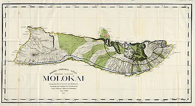 1906 Map Molokai Hawaiian Island Wall Art Poster Print Decor Vintage History • $37.95