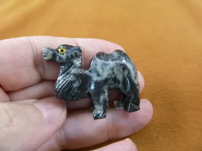 Y-CAM-22 Gray CAMEL Camels Desert SOAPSTONE FIGURINE Gemstone Carving Dromedary • £8.54