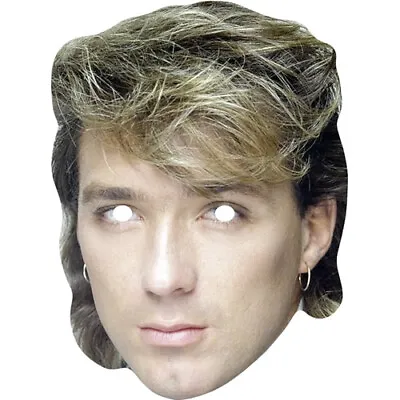 Martin Kemp Retro Celebrity Card Face Mask - Ready To Wear - Fancy Dress • £1.65