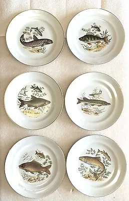 6 Vtg. Naaman Israel Porcelain Fish 9.25'' Plates Gold Rim ExCond • $35