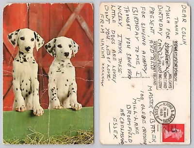 S23526 Two Dachshund Dog Puppies *WORN*     Postcard 1969 Stamp • £1.19