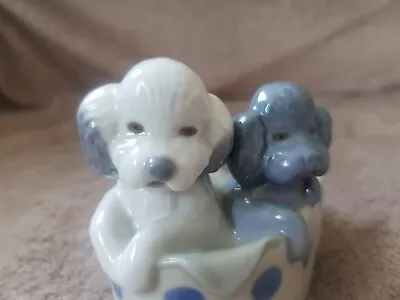 Nao Two Poodles In Basket  • £4