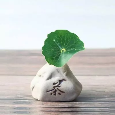 Creative Zen Hydroponic Plant Pots Mini Home Desktop Ornaments • $14.74