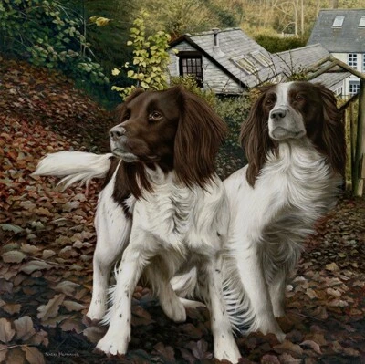 £119 • Buy Nigel Hemming AUTUMN WATCH Springer Spaniels, Art Canine Ltd Edition  #1