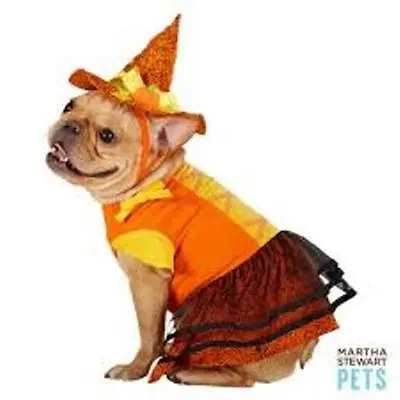 NWT Martha Stewart Witch Costume With Hat For Pets Size XS Dog Halloween • $12.99