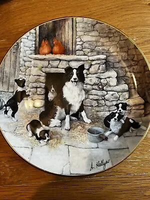 £3 • Buy Border Fine Arts James Herriot’s ‘Jocks Pride’ Decorative Plate - 22 Cm