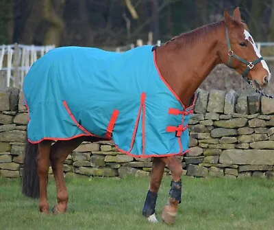 Turners Lightweight 100g Horse & Mini Shetland Pony Waterproof 600d Turnout Rug • £38.99