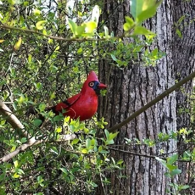 Garden Red Cardinal Bird Yard Art Metal Sculpture Realistic Songbird • $25.90