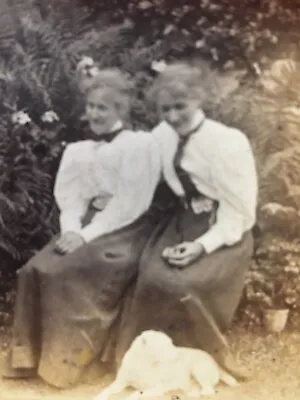 1890s Original B&W Photo 2 Sisters (?) & A Jack Russell Dog Fashion • £8