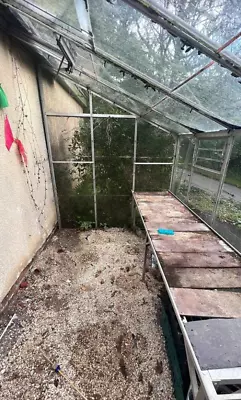 Lean To Greenhouse - DISMANTLED - Stroud • £150