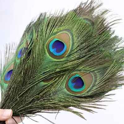 £2.99 • Buy Peacock Tail Feathers 25-30cm Feathers Craft Hat Decorations Hat Sweing 10 -12 