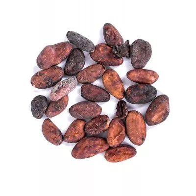 Cacao Beans Seeds Whole WHOLESALE PRICE 100G-10KG • £5.49