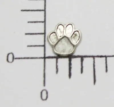 43694        6 Pc Matte Silver Oxidized Bear Paw Jewelry Finding • $1.60