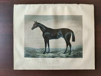  antique Original Hand Colour Lithograph-racing Horses-pretender- 1880ca • £45