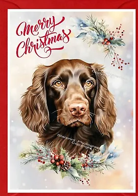 Cocker Spaniel Brown Dog Christmas Card (4  X 6 )  - Blank Inside - By Starprint • £2.85