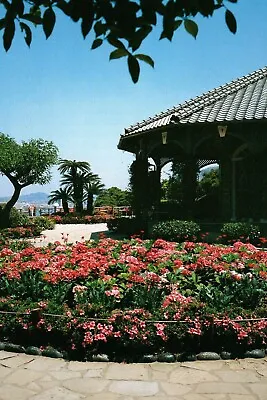 Postcard Nagasaki Japan Clover Garden Flowers  • $4.35