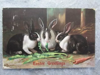 Antique Easter Greetings Three Rabbits Postcard 1907 • $3.10