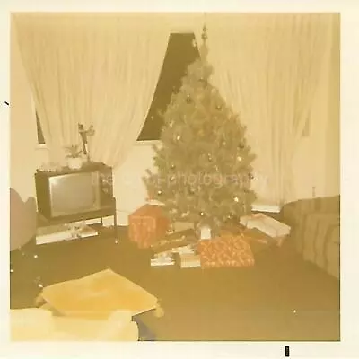 FOUND CHRISTMAS TREE PHOTOGRAPH Color ORIGINAL Snapshot VINTAGE 312 55 G • $12.99