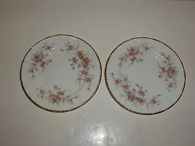 $14.99 • Buy Paragon Bone China Victoriana Rose Pair Small Plates, Pink Roses, Gold Tone