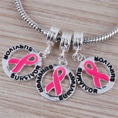 2Pc Survivors Pink Ribbon Cancer Awareness Dangle Bracelet Charms • £3.30