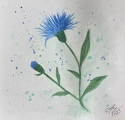 £2.95 • Buy Original Hand Painted Watercolour Greetings Card, Blank.  ‘Cornflower’