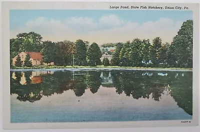 Union City PA State Fish Hatchery Large Pond Vintage Linen Postcard F51 • $7.95