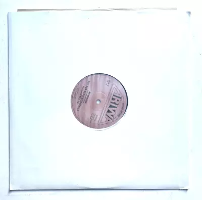 The Dub Revolutionaries Ft Earl 16 - Black Man * 12' Vinyl * Free P&P UK * • £26.99
