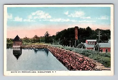 Middletown NY-New York Scene On Mohican Lake Antique Vintage Postcard • $7.99