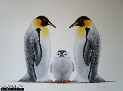 £20 • Buy Wild Life Art Print Penguins Animal Artist Warwick Higgs. Now Rare 