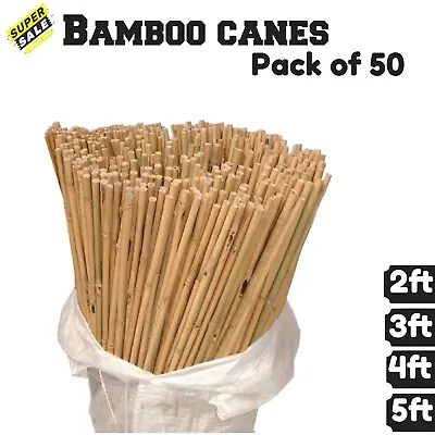 50 X Bamboo Heavy Duty Garden Canes Support Plant Flower Pole Stake 2FT-5FT • £35.99