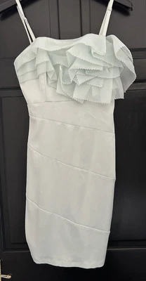 £3 • Buy Lipsy Dress Size 10 Light Green