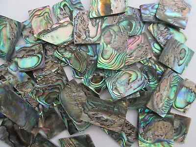 1oz DEFECT Green Paua Abalone Shell Blanks.060 . Inlay Material. 17-20 Pieces • $19.95