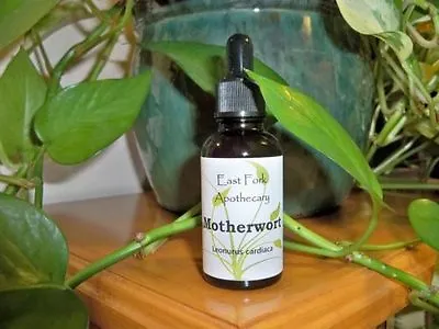 Motherwort Tincture 1 Oz. Wildcrafted Fresh Flowering Tops  • $22