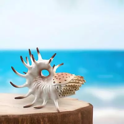 Sea Animal Figures Model Collection Nautilus Model For Boy Teens • $18.89