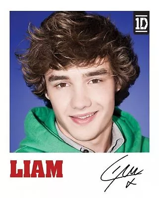 £3.49 • Buy Poster Liam 1D One Direction FOLDED Claires Claire's Accessories OD4 MPP50456