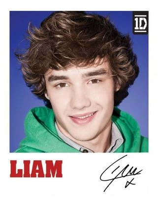 £3.49 • Buy Poster Liam 1D One Direction FOLDED Claires Claire's Accessories OD4 MPP50456