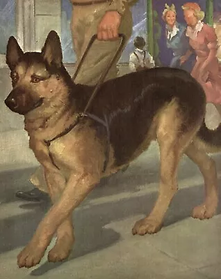 Vintage GERMAN SHEPHERD Print Wesley Dennis Illustration Dog Wall Art 3572-D • $13.50