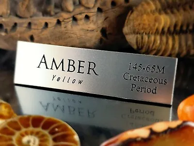 Amber Fossil Display Name Plate - Exhibit Artifact Label-museum Quality • $9.99