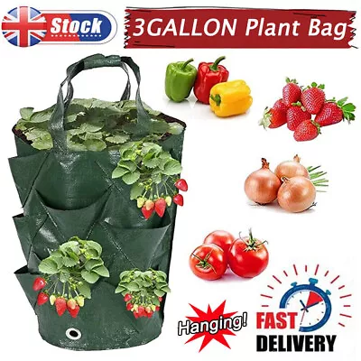 Fabric Tomato Strawberry Grow Bag Hanging Planter Flower Pouch Trailing Plants • £4.85