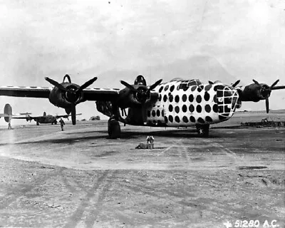 Consolidated B-24 Liberator Bomber 8x10 WWII WW2 Photo 869a • $7.43