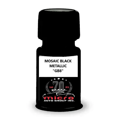 $14.88 • Buy General Motors Mosaic Black WA384A Touch Up Paint With Brush 2 Oz SHIPS TODAY