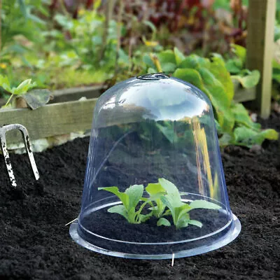 Garden Bell Cloche Mini Greenhouse Weather & Pest Plant Protection Cover NEW • £9.99