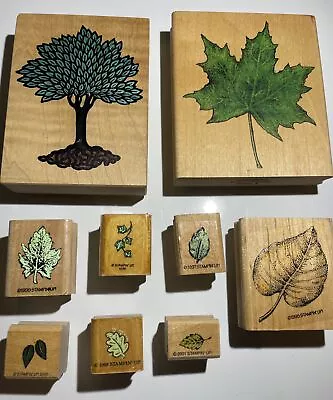 Vintage Mostly Stampin’ Up Rubber Stamps Lot Leaves Maple Oak Tree Vine Greenery • $19.95