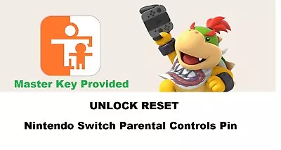 Nintendo Official Master Key - Unlock Reset Switch Parental Controls PIN • $10.99