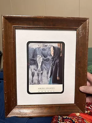 N.A.Noel Amish Print Matted/Framed Winter Girl/calf 11 X 14 • $5.99